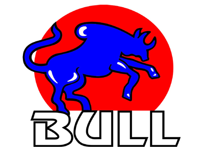 Bull